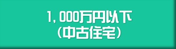 1,000万円以下