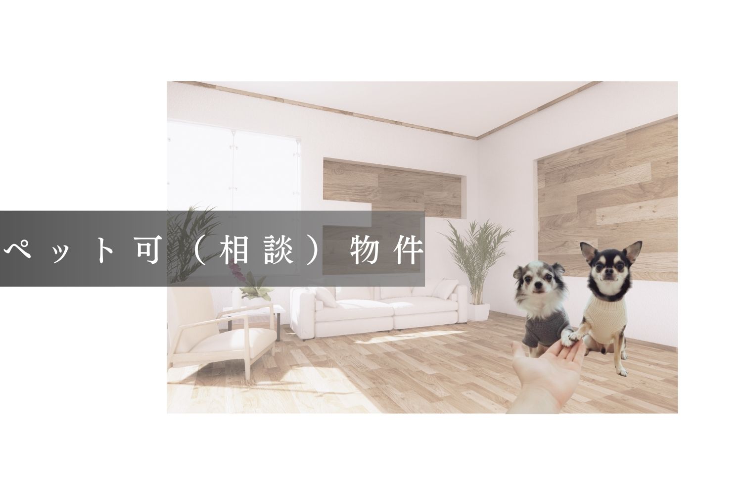 ペット可(相談)物件