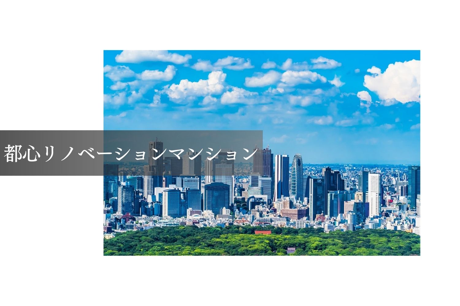 都心リノベーションマンション