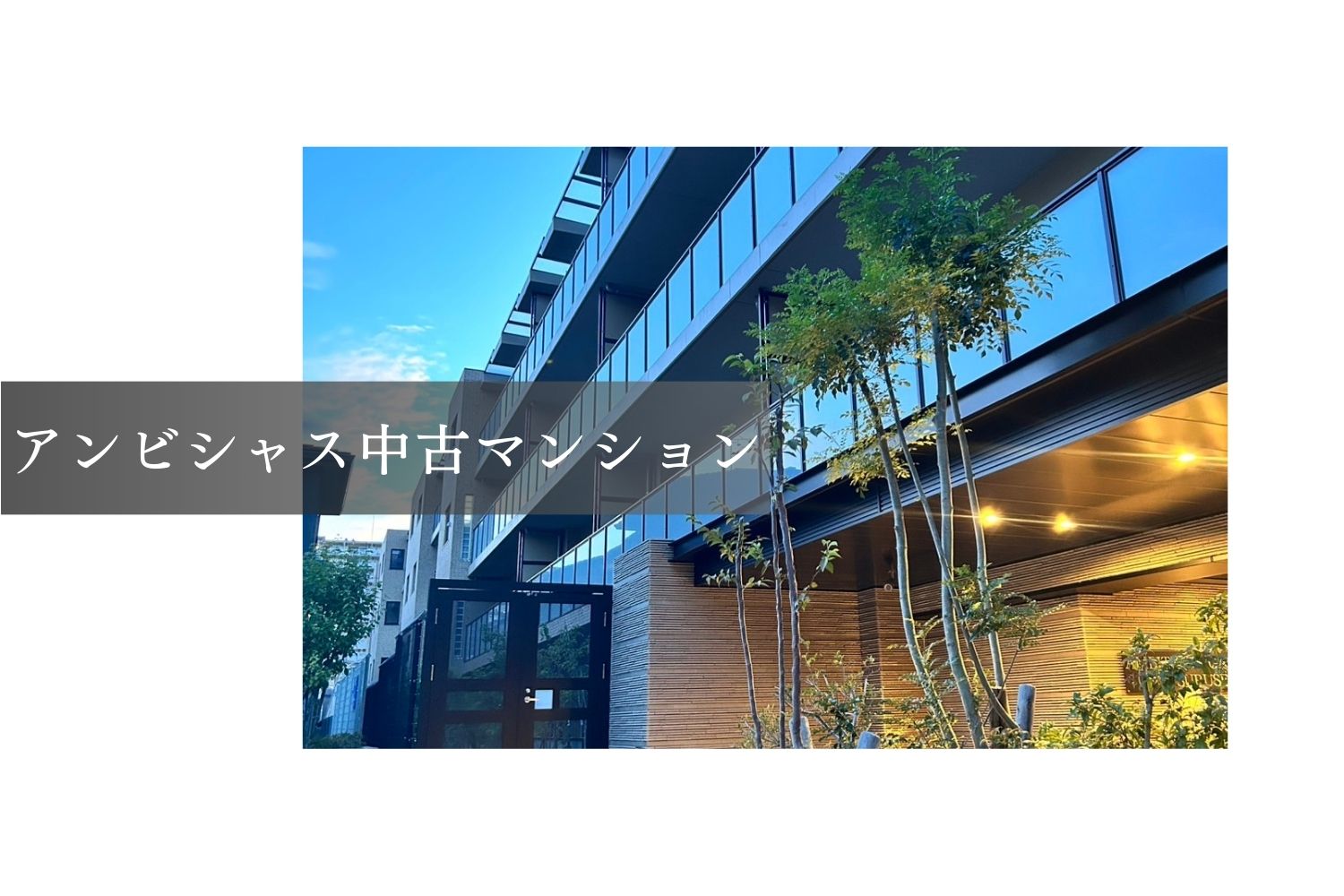 アンビシャスの中古マンション