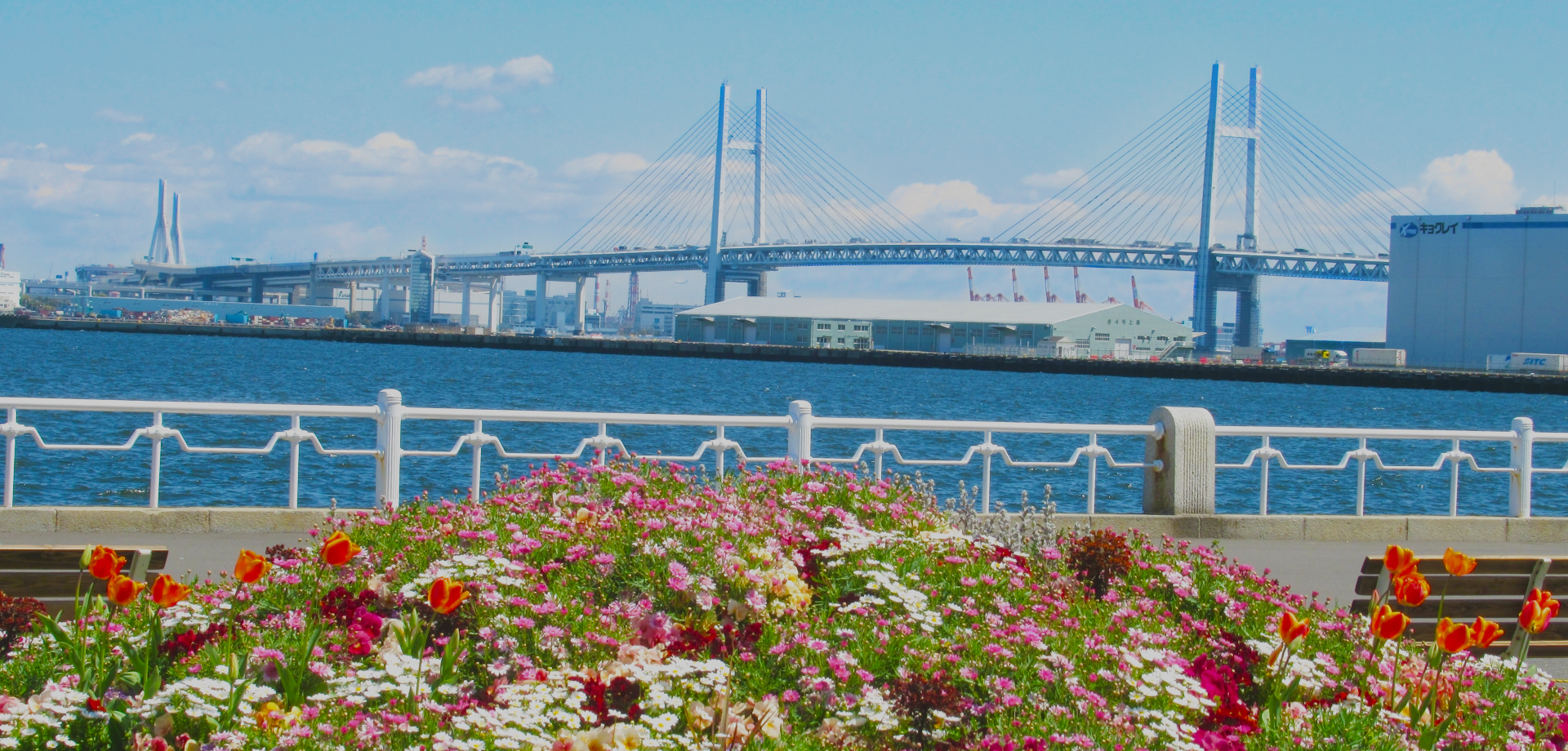 横浜市を中心に神奈川県全域で不動産を売買するならセンチュリー21　スターライフ4枚目の画像