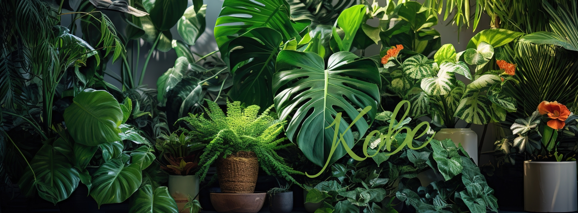 神戸市垂水区・西区・須磨区・明石市の物件ならホームメイトFC垂水駅前店 ハウジングサポート神戸