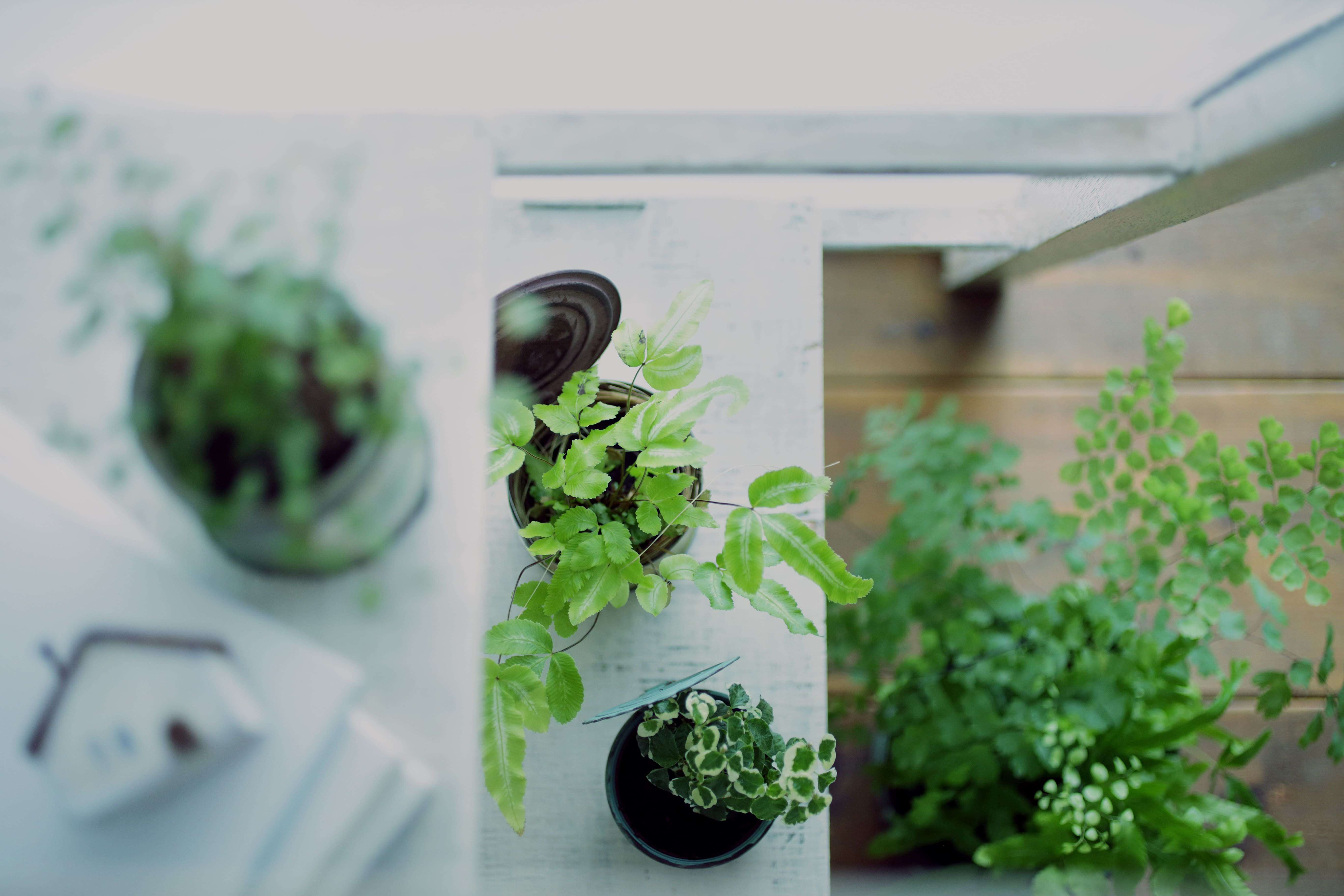 神戸市垂水区最大級の賃貸情報 - ホームメイトFC垂水駅前店15枚目の画像