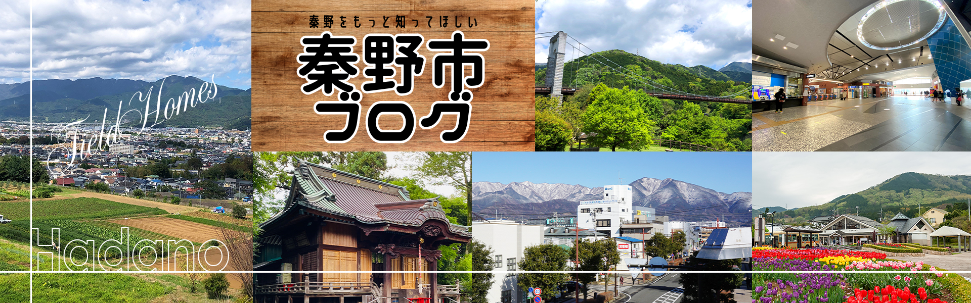 もっと秦野を知ってほしいブログ