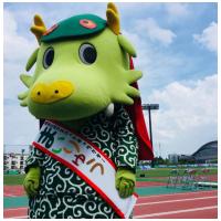 龍ヶ崎市の魅力