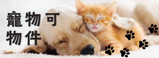 寵物可物件