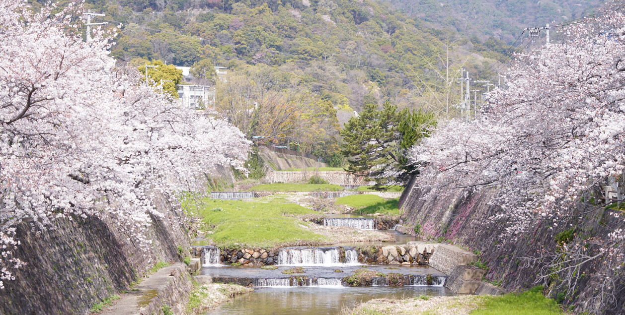 阪神間の不動産探しなら髙翔バイセル3枚目の画像