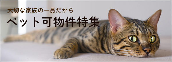 ペット可物件特集