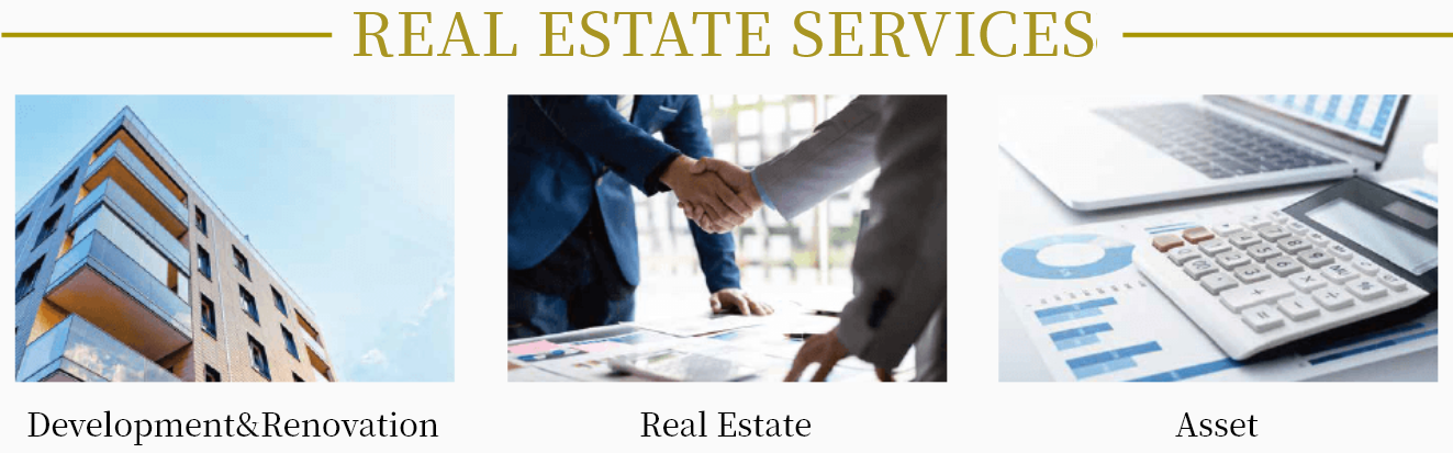 REAL ESTATE SERVICES - Development & Renovation / Real Estate / Asset