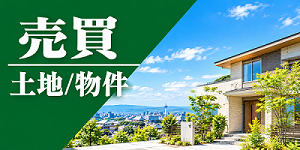 売買